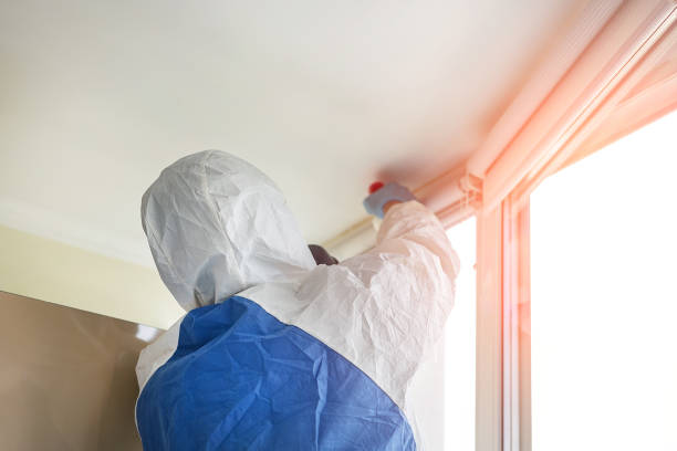 Why You Should Choose Our Mold Remediation Services in Garner, NC